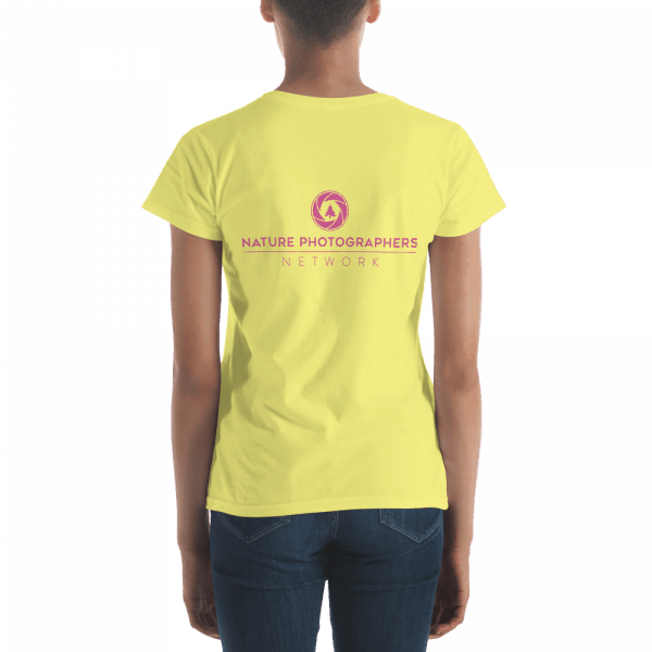 mockup 22369ec5
