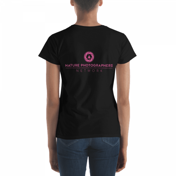 mockup 2f703179