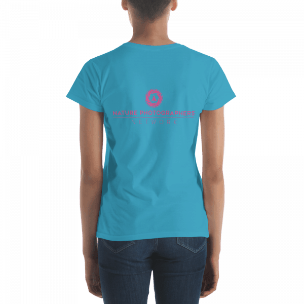 mockup 4052dfd8