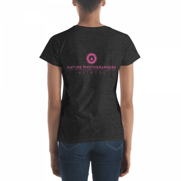mockup fc43e015