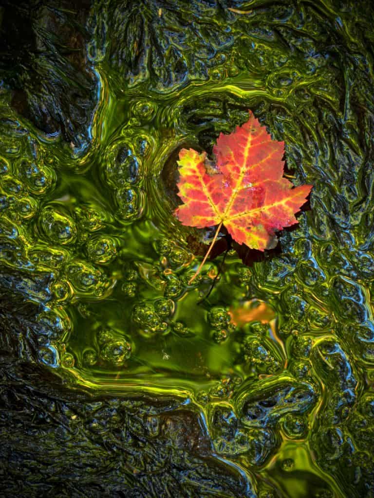 Liquid Aurora