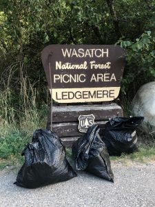 Ledgemere