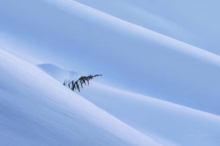 AgainstAllOdds 5005601 Edit