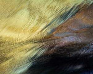DSC 7936