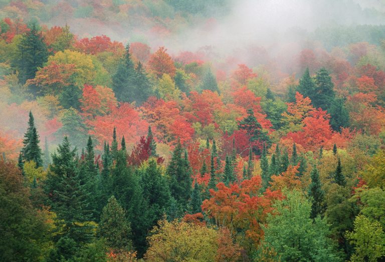 Seasons On The Edge (4 Of 10)