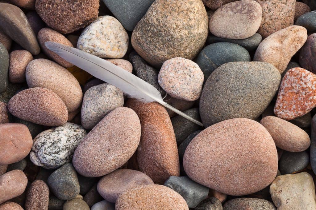 Feather On Beach