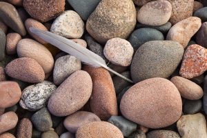Feather On Beach