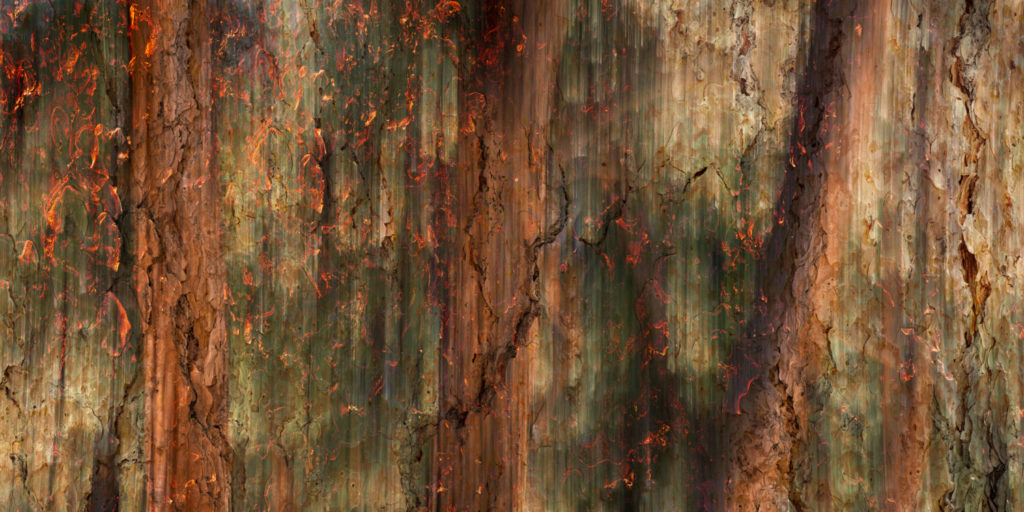 How ICM Photography Affects My Creativity 11 Alfredo Mora Photography A World On Fire