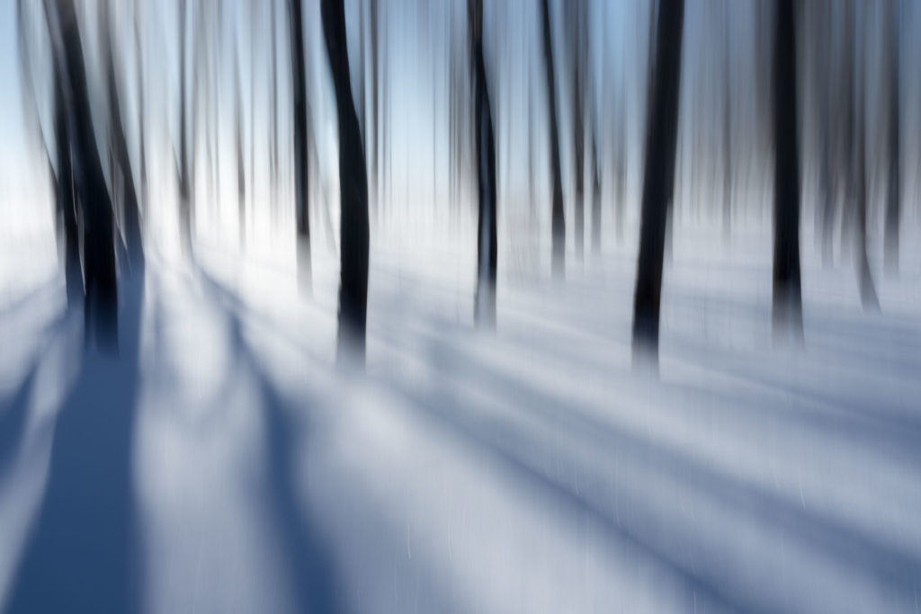 How ICM Photography Affects My Creativity 3 Alfredo Mora Photography Close Encounters