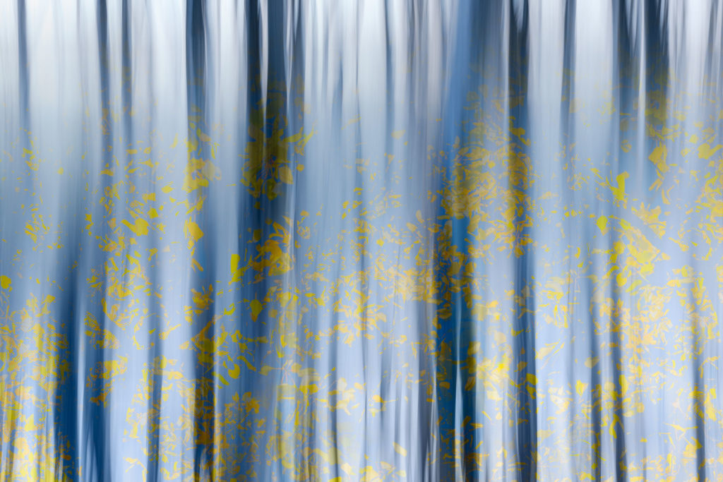 How ICM Photography Affects My Creativity 13 Alfredo Mora Photography Close The Window