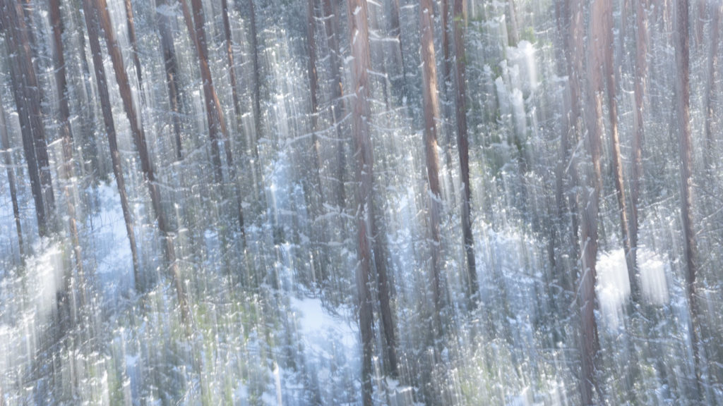 How ICM Photography Affects My Creativity 10 Alfredo Mora Photography Disoriented