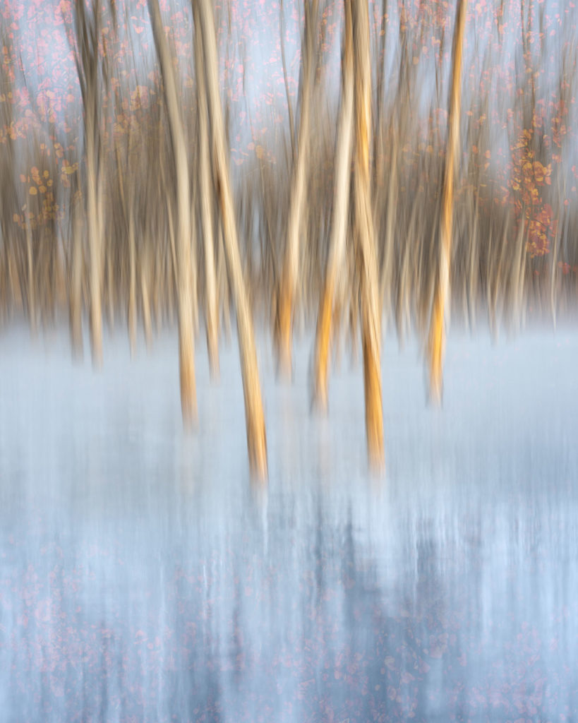 How ICM Photography Affects My Creativity 12 Alfredo Mora Photography Eternal Hanami