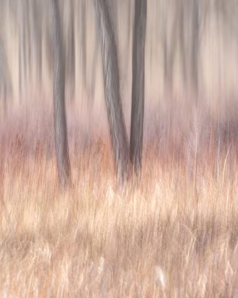 Alfredo Mora Photography IV