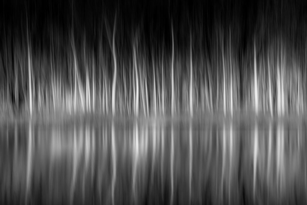 How ICM Photography Affects My Creativity 6 Alfredo Mora Photography Mirage