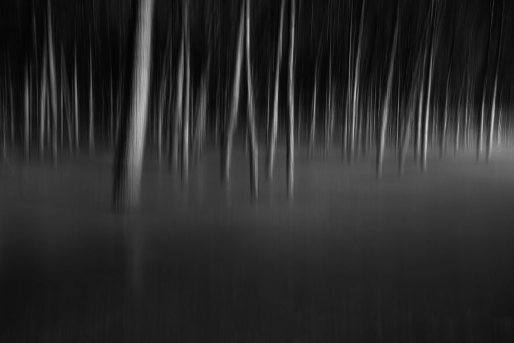 How ICM Photography Affects My Creativity 5 Alfredo Mora Photography Whispers In The Dark