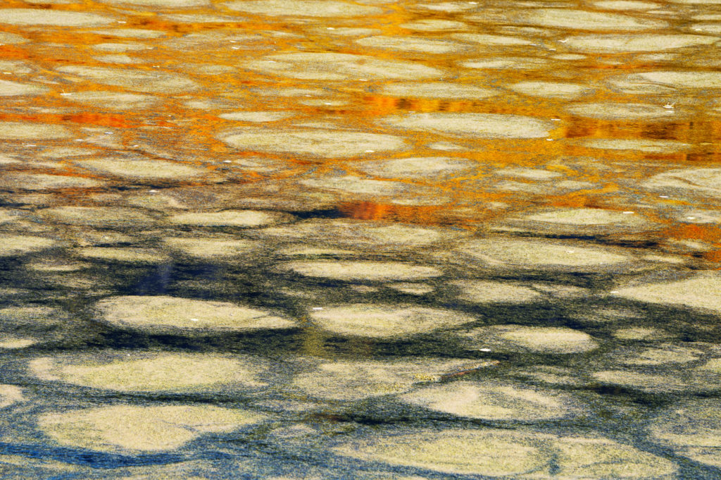 Is Nature Photography Considered Art? 4 Matt Payne NPN 4