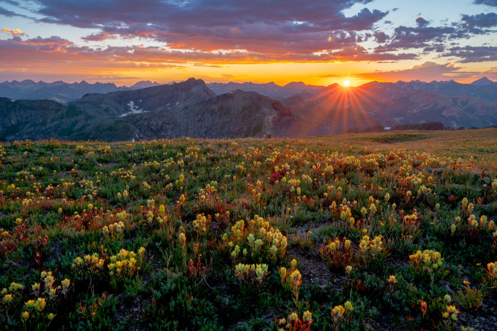 Is Nature Photography Considered Art? 5 Matt Payne NPN 5