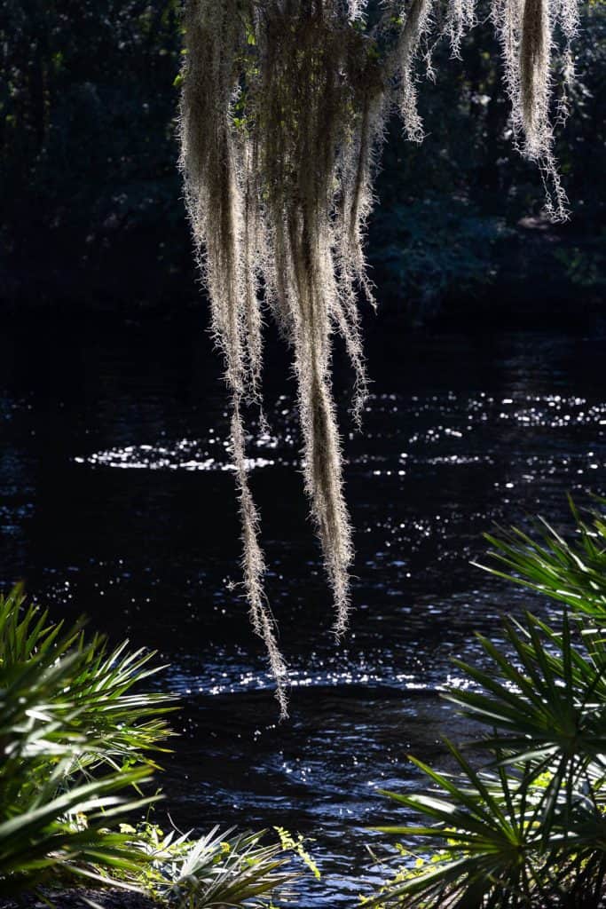 Research is Knowledge; Knowledge is Power 2 2021 09 24 Suwannee 46