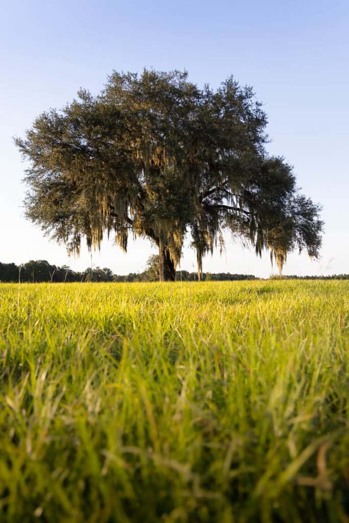 Research is Knowledge; Knowledge is Power 9 2021 09 25 Suwannee 334