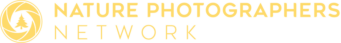 NPN Logo Compressed