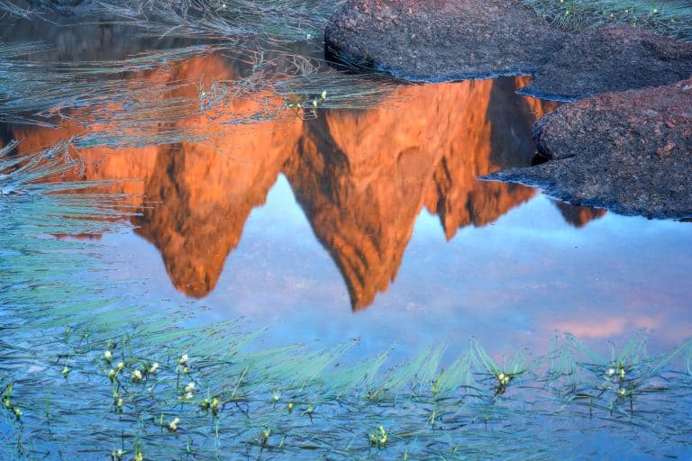 ShadowReflectionWEB