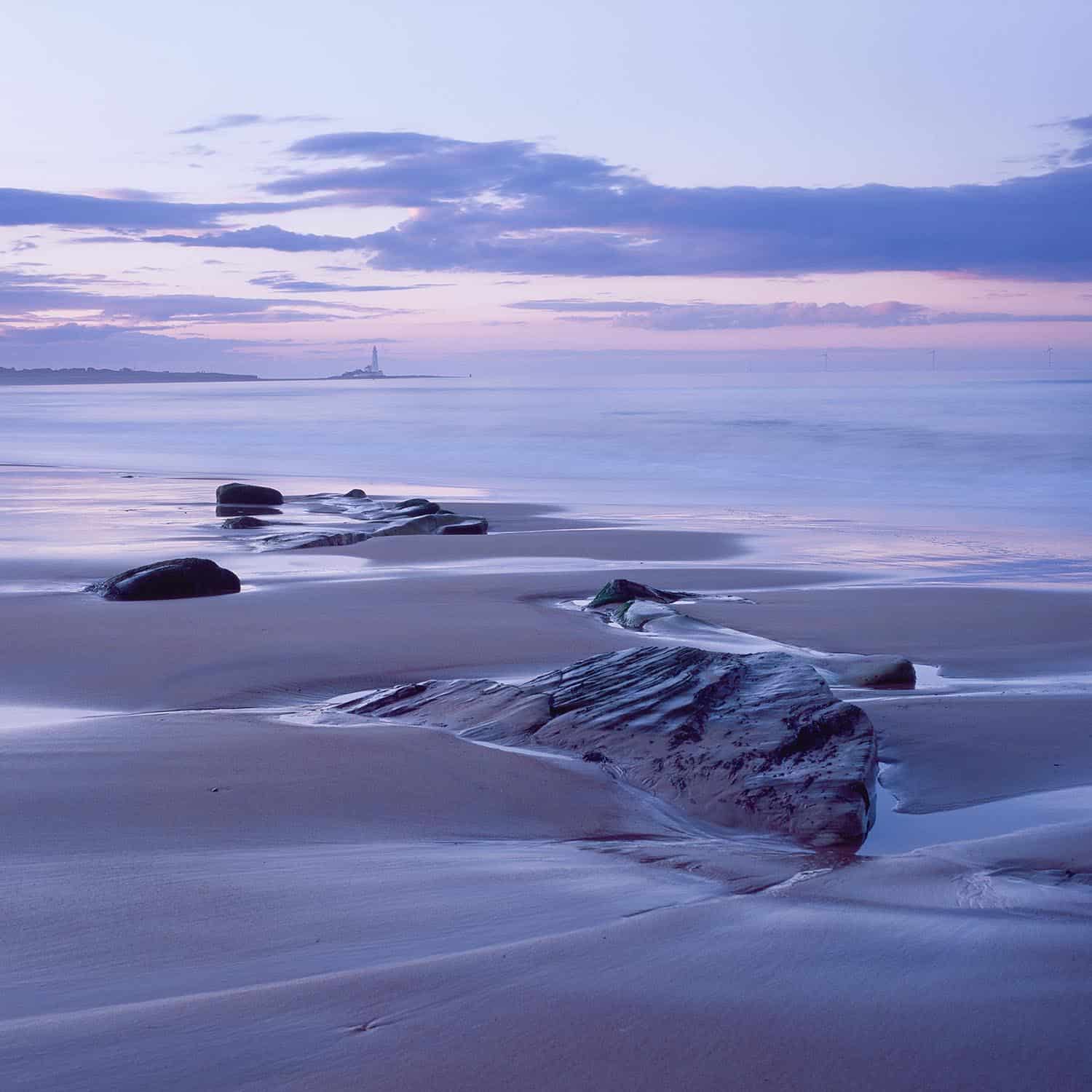 From Digital to Film Photography Nature Photographers Network