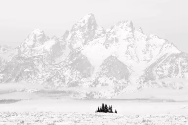 01 Kimmerle TreesAndTetons GrandTetonNationalPark 2