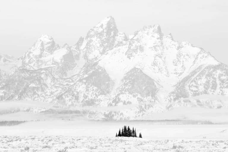 Articles 8 01 Kimmerle TreesAndTetons GrandTetonNationalPark 2