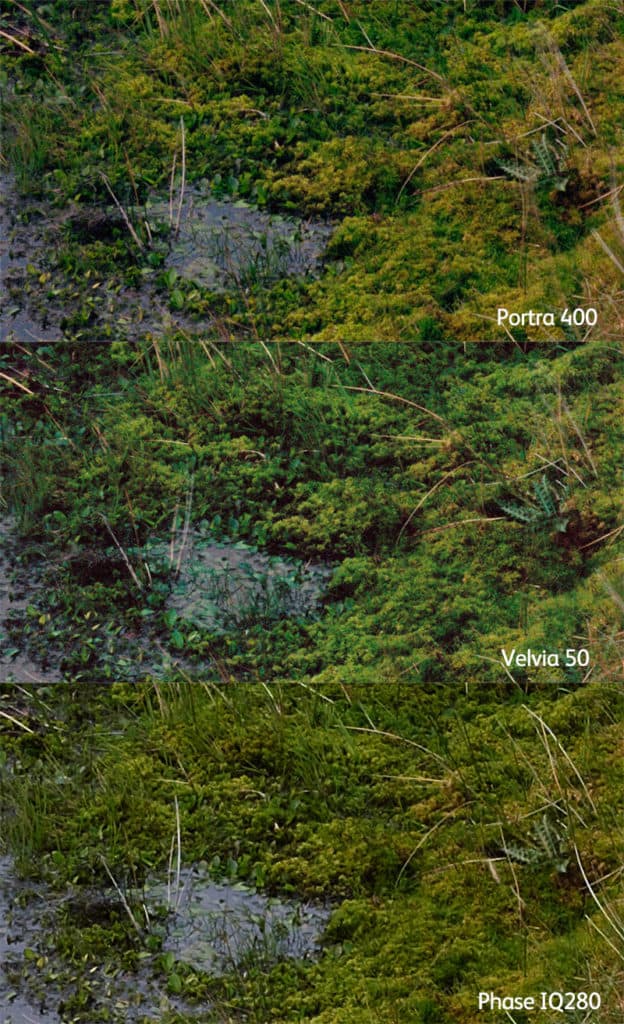 What Are Hue On About 10 Moss Portra400 Vs Velvia50 Vs Iq280