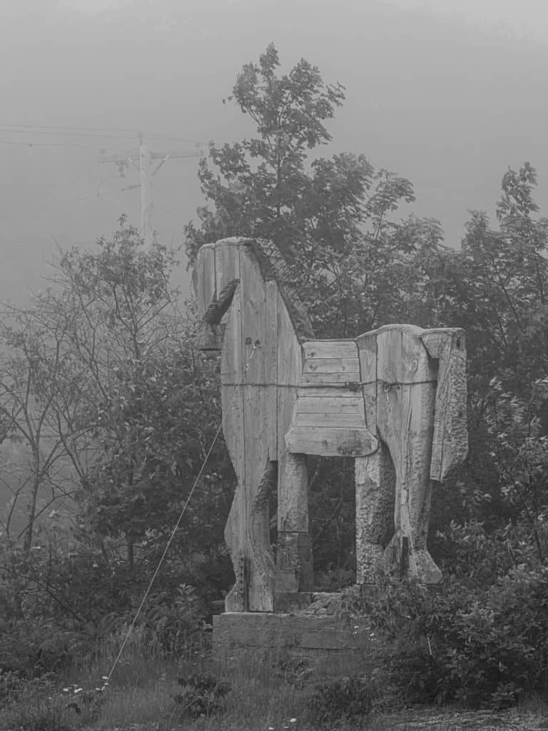 Elements of a Successful Photographic Project 6 05 Langlais Horse In Fog