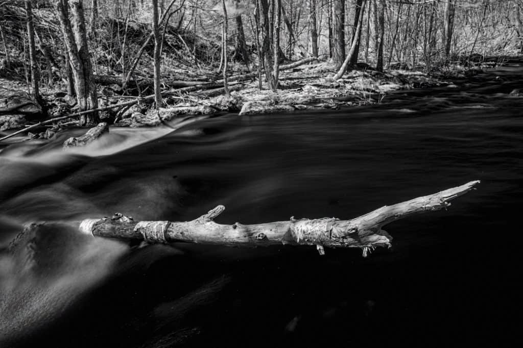 Elements of a Successful Photographic Project 7 08 The Fishing Hole
