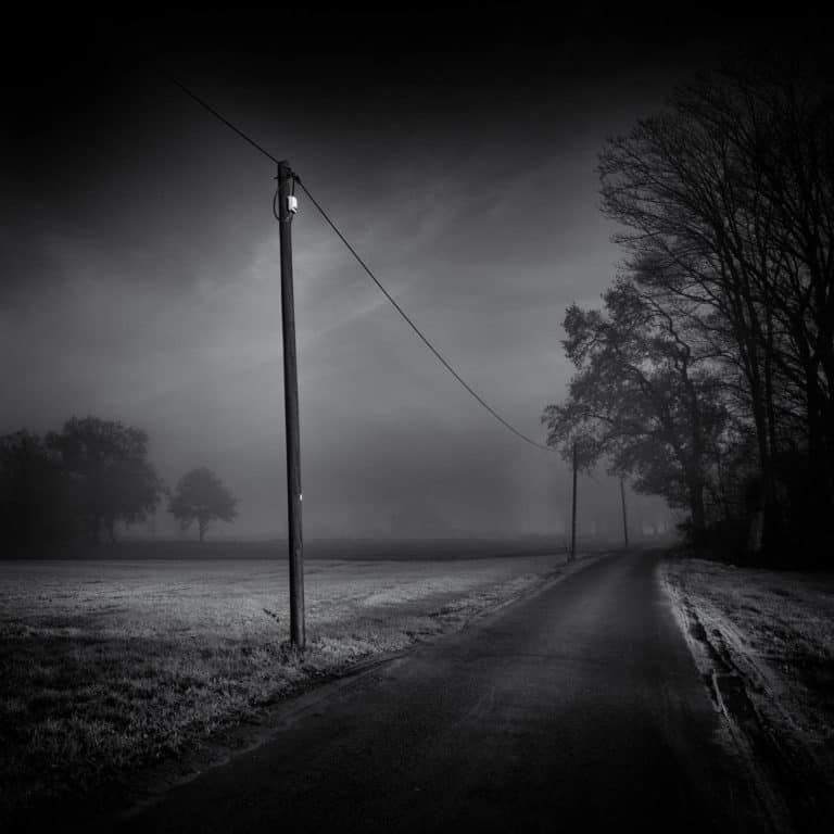 The Way Home