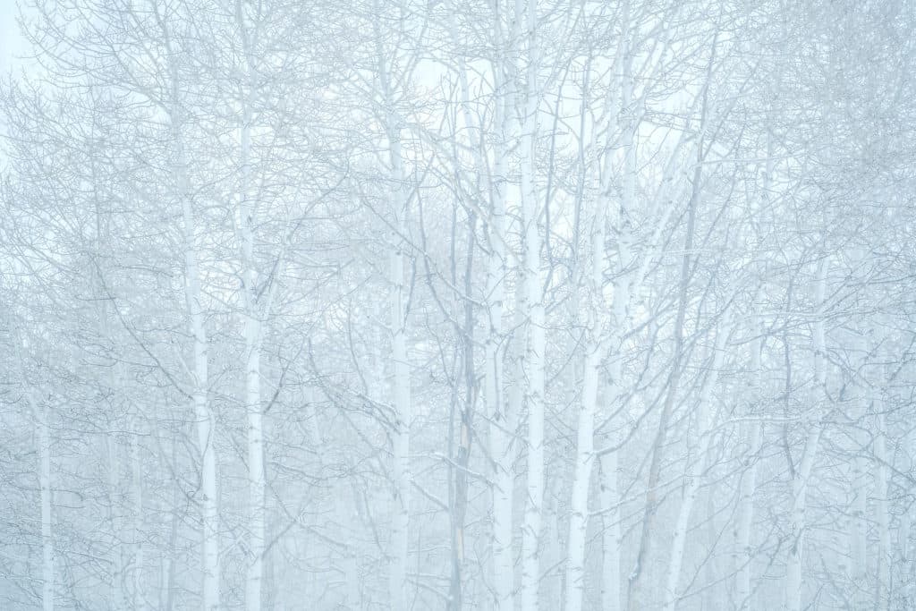 Look Again 20 Whiteout
