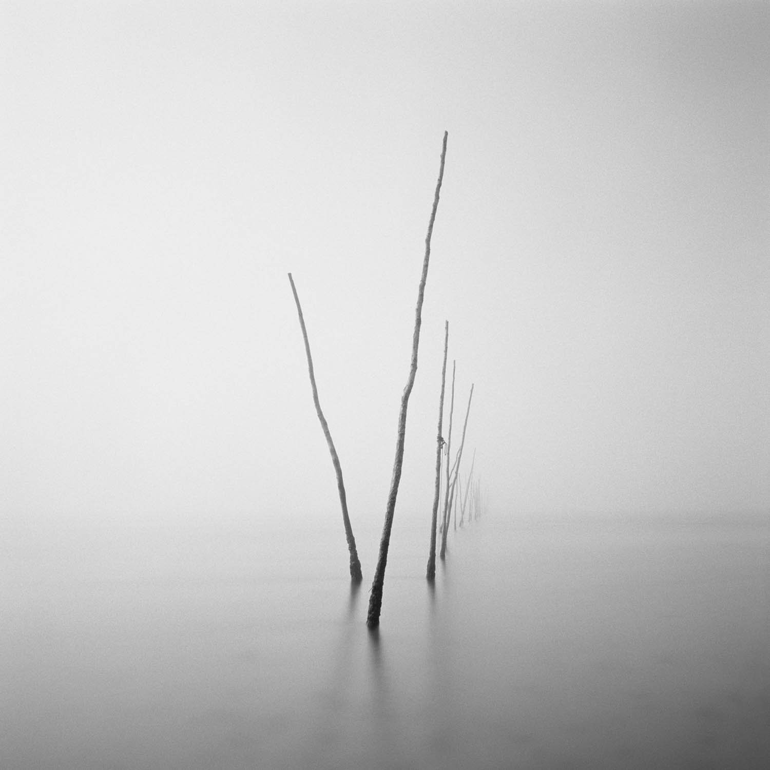 The Secret Life of a Picture Framer Nature Photographers Network