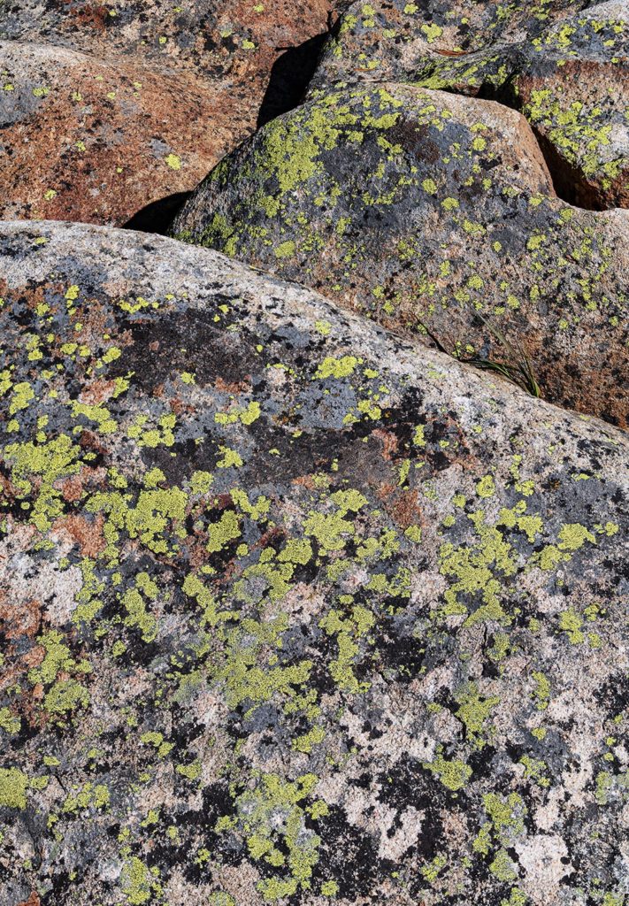 Simplicity 15 684 92 Lichen Rocks