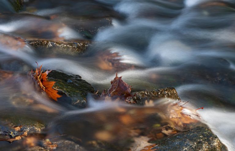 Articles 7 688 118 Oak Leaf Rock Creek Canyon