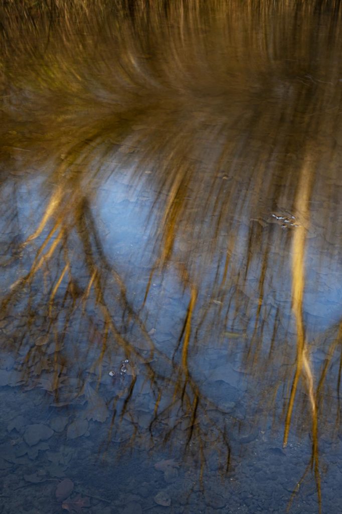 Simplicity 7 689 42 Flowing Reflections