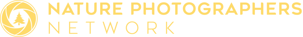 NPN Logo Heading