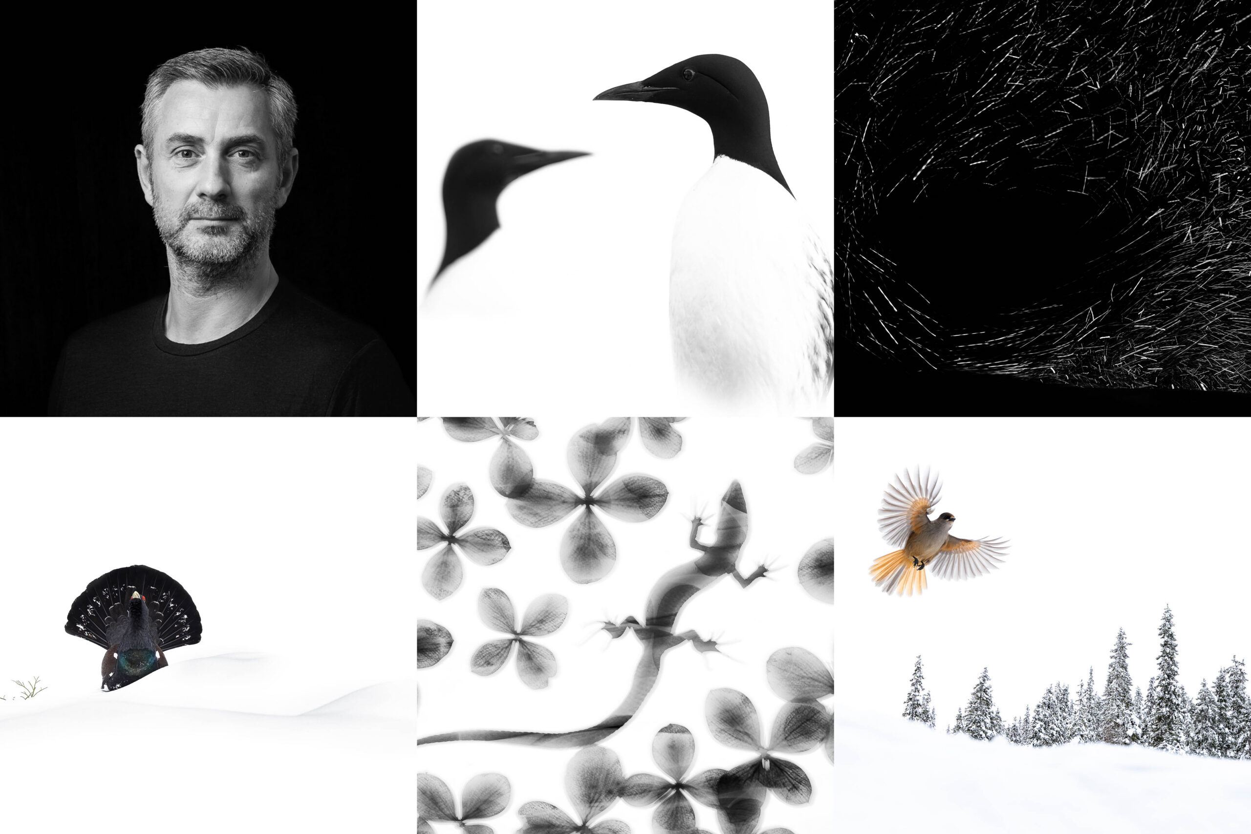Minimalism Through High – & Low Key Photography