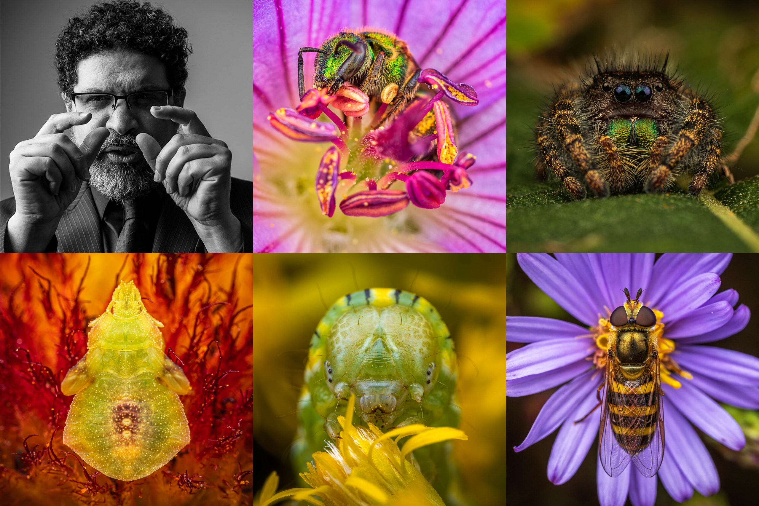 Slow down with Macro
