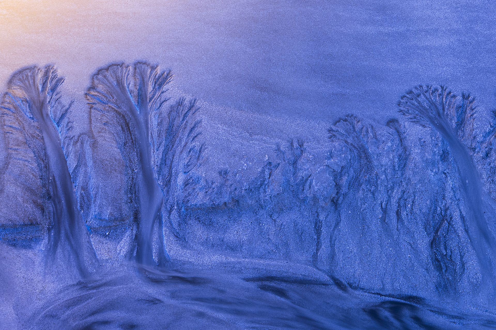 Where the Image Begins: Notes on Artistic Nature Photography