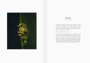 Page spread from Nature Vision Magazine Issue 13: Edges, Summer/Fall 2026, page 4